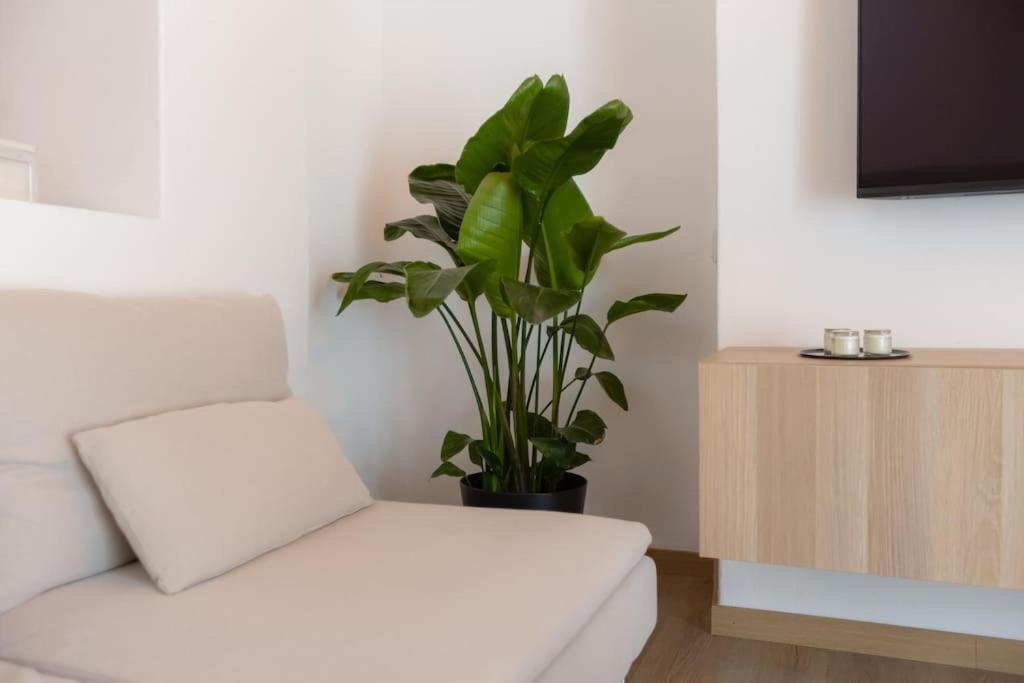 Apartamento Renovated Historic ~large & Cozy ~casa Nespereira Lagos