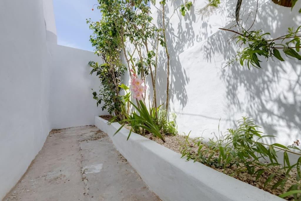 Apartment Renovated Historic ~large & Cozy ~casa Nespereira Lagos
